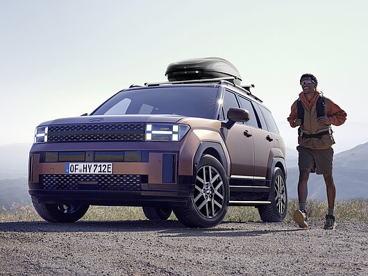 Бічні лінії оздоблення, матова хромована оптика | Хюндай Мотор Україна - фото 10